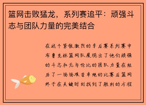 篮网击败猛龙，系列赛追平：顽强斗志与团队力量的完美结合